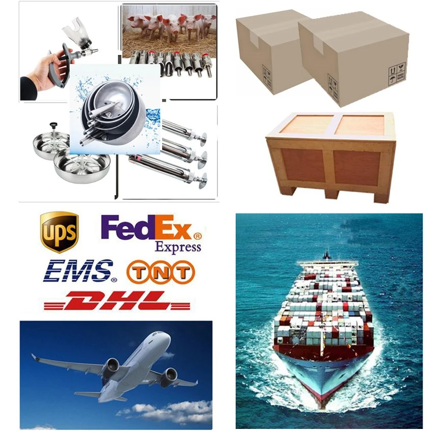 Packaging and Delivery of Pig feeding bowl Packaging and Delivery of Pig feeding bowl