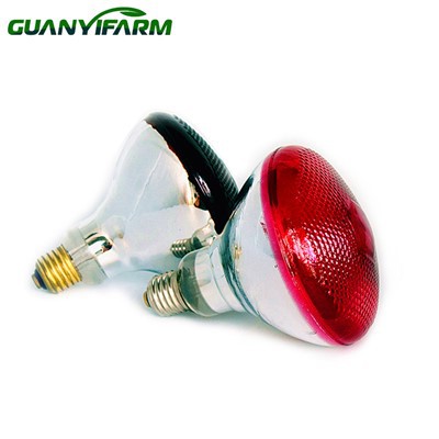 Infrarød brooderpære